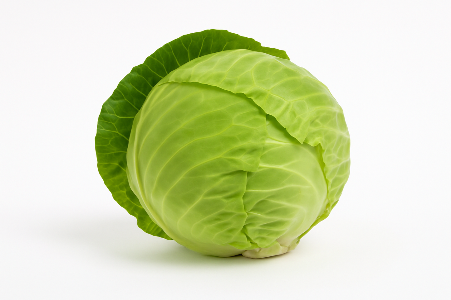 Cabbage White (Bag)