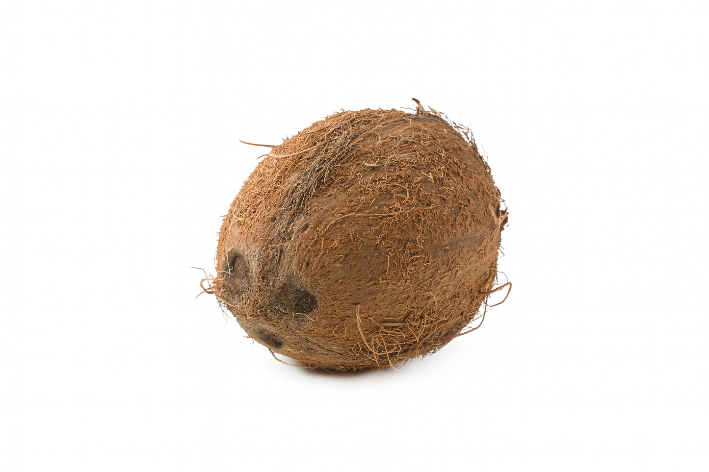 Coconut (1 Bag)