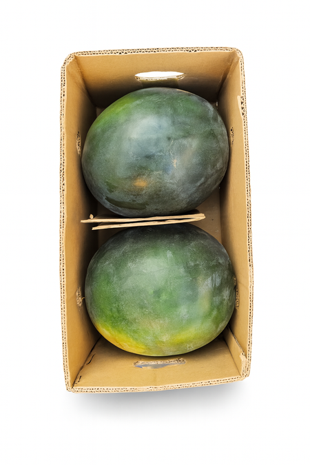 Watermelon-Yemen (2Piece Box)