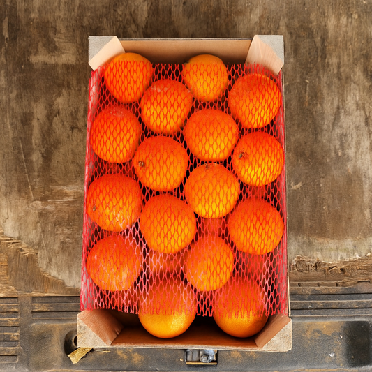 Clementine (Morocco)