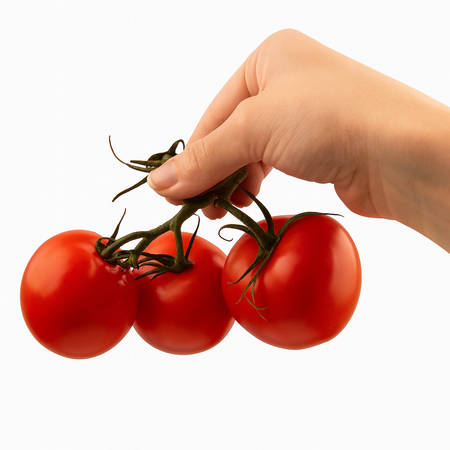 Tomato-On the Vine (4Kg Box)