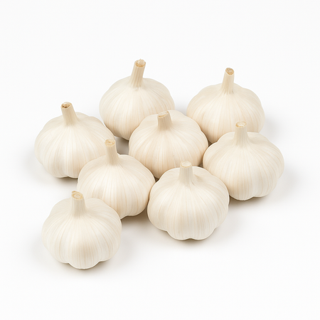 Garlic