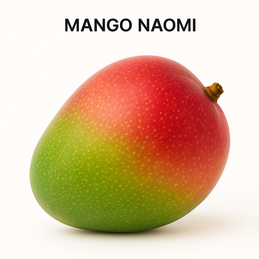 Mango Naomi
