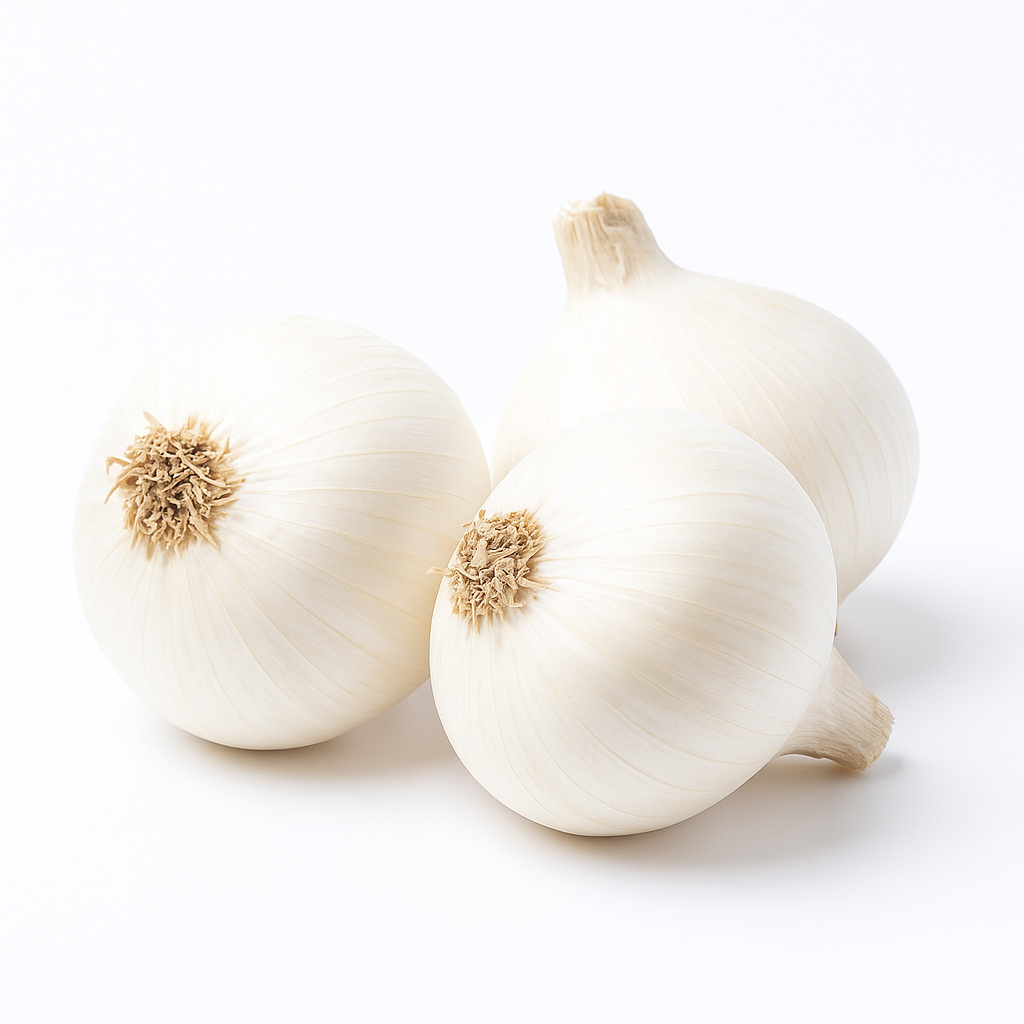 Onion White