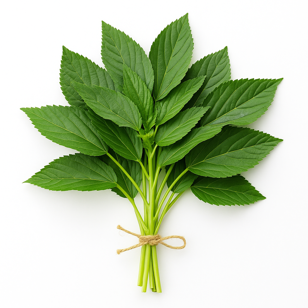 Jute Leaves/Molokhia