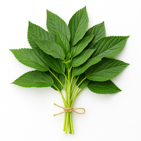 Jute Leaves/Molokhia