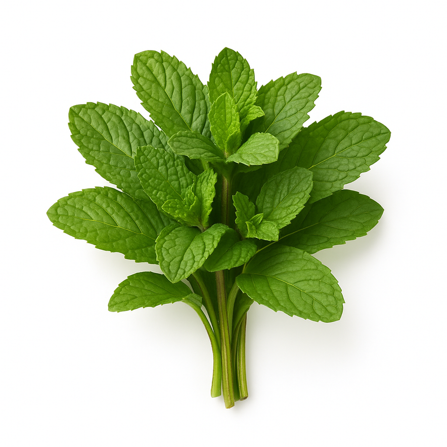 Habak Leaves(Arabic Basil)