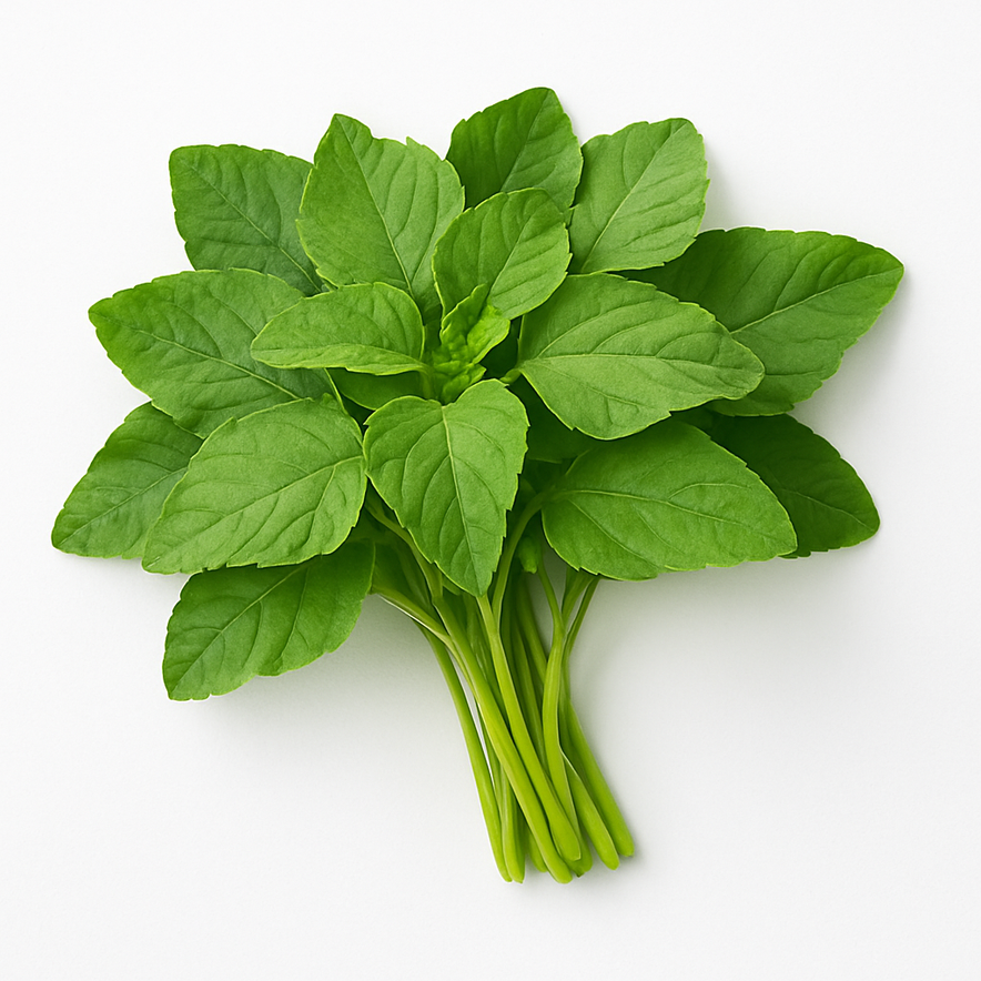 Green Cheera/Green Amaranth