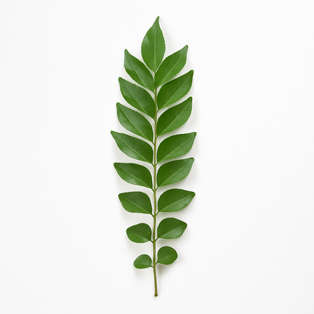 Curry Leaves