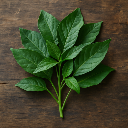 Chilly Leaves