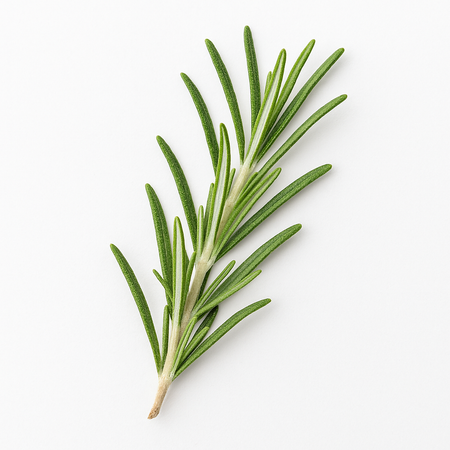Rosemary Leaves