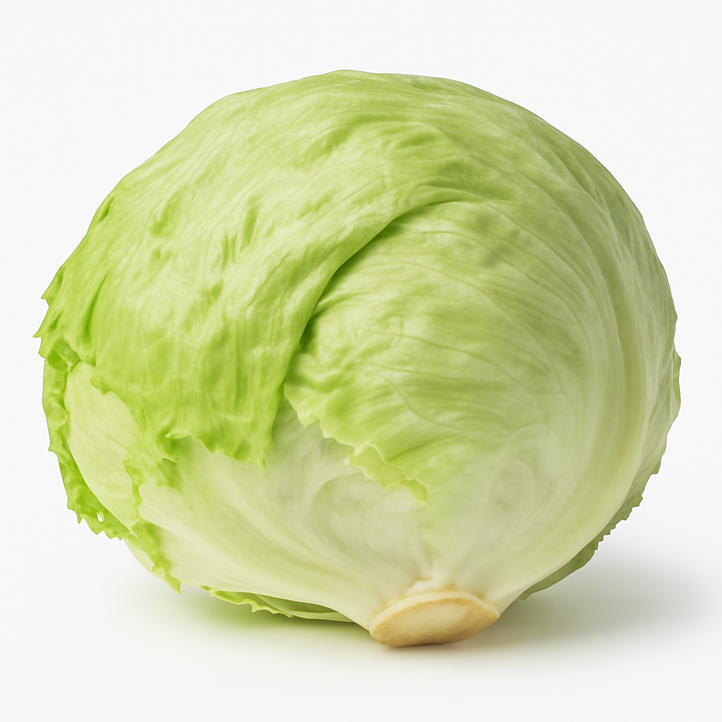 Lettuce(Iceberg)