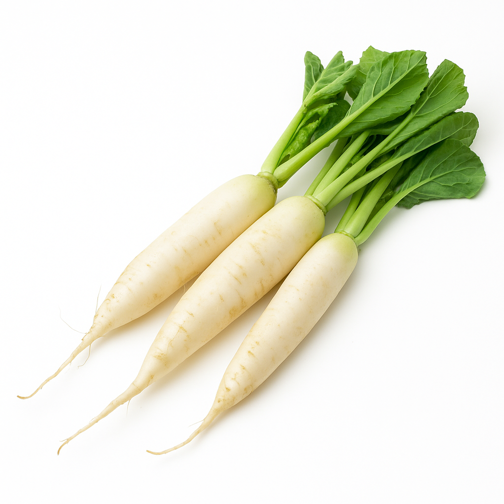 Radish White (Fijil)