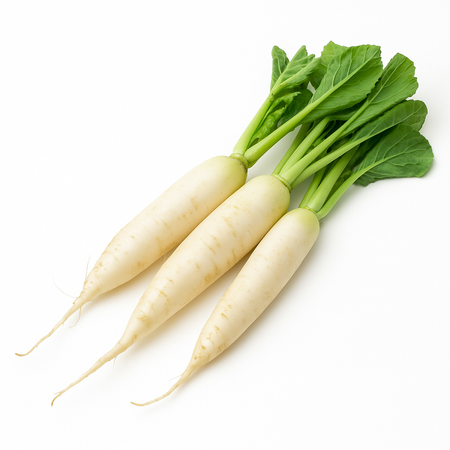 Radish White (Fijil)