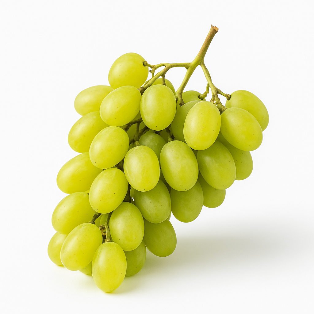 Grape White(Thompson Seedless)