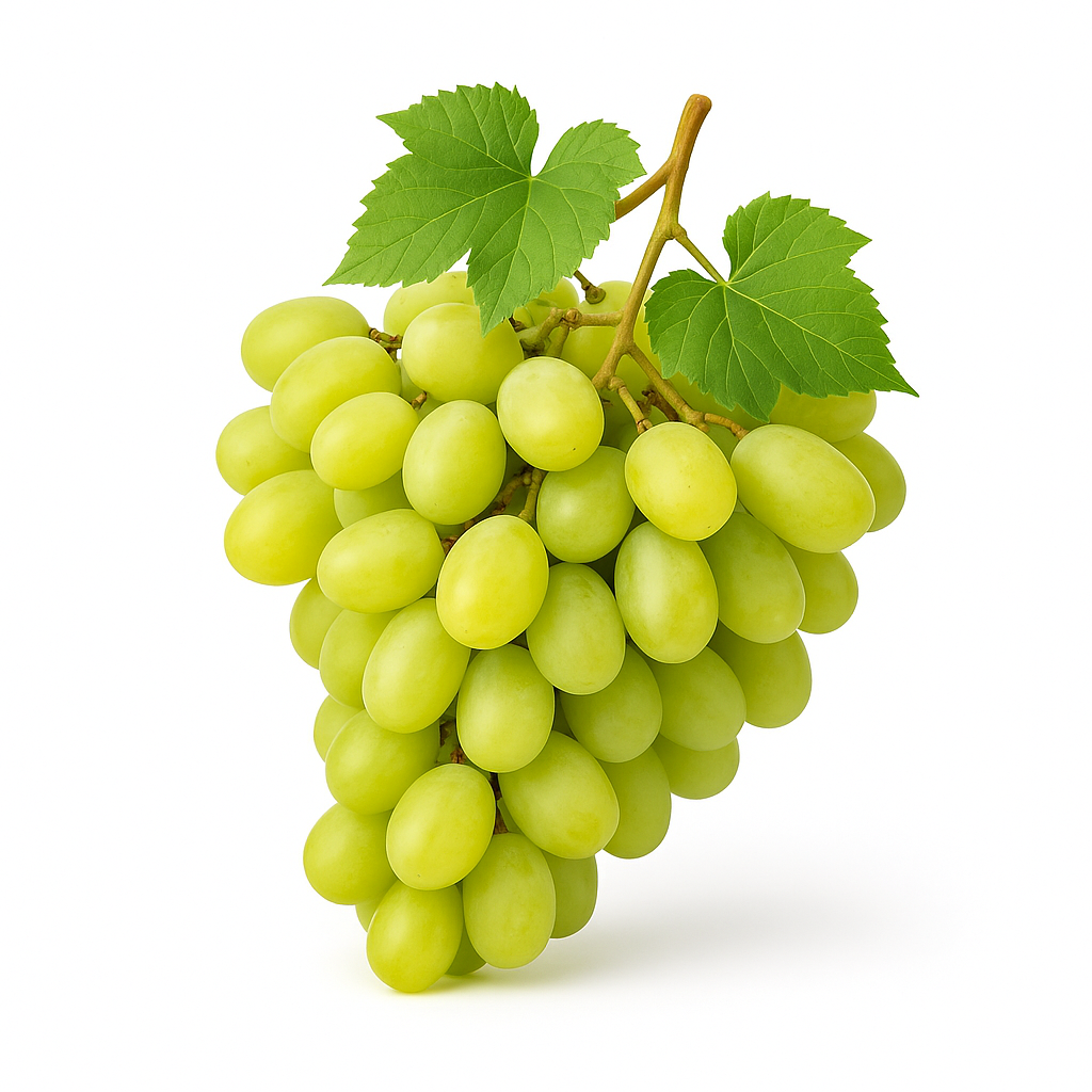 Grape White(Halwani)