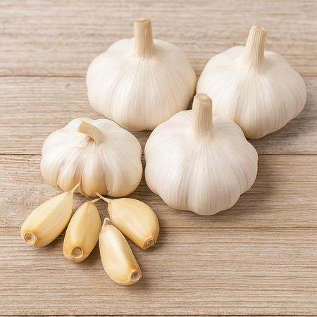 Garlic