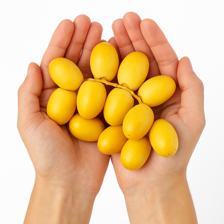 Barhi Date (Tamar Barhi)