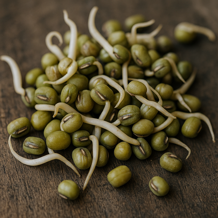 Mung Bean Sprouts