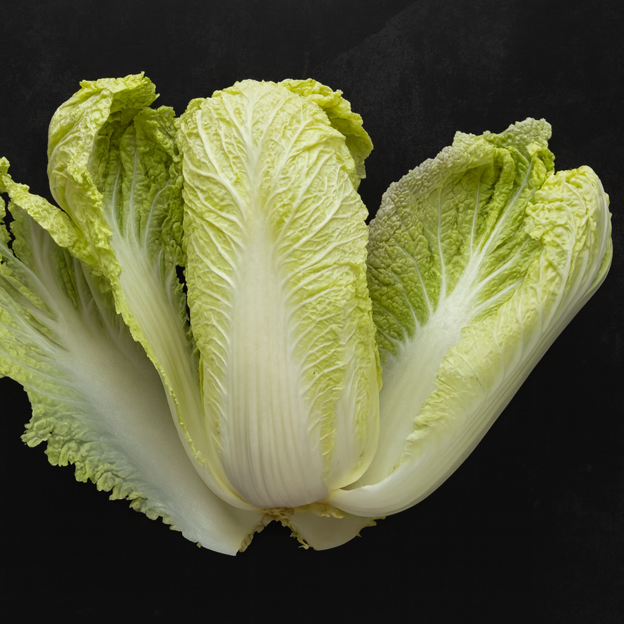 Lettuce(Romaine)
