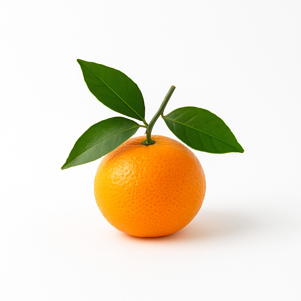 Orange (Afandi)