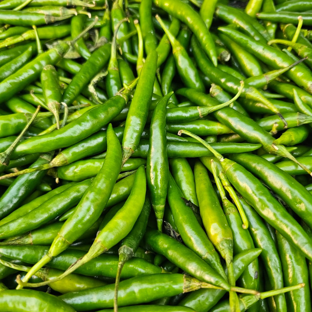 Green Chili-Indian (Kg)