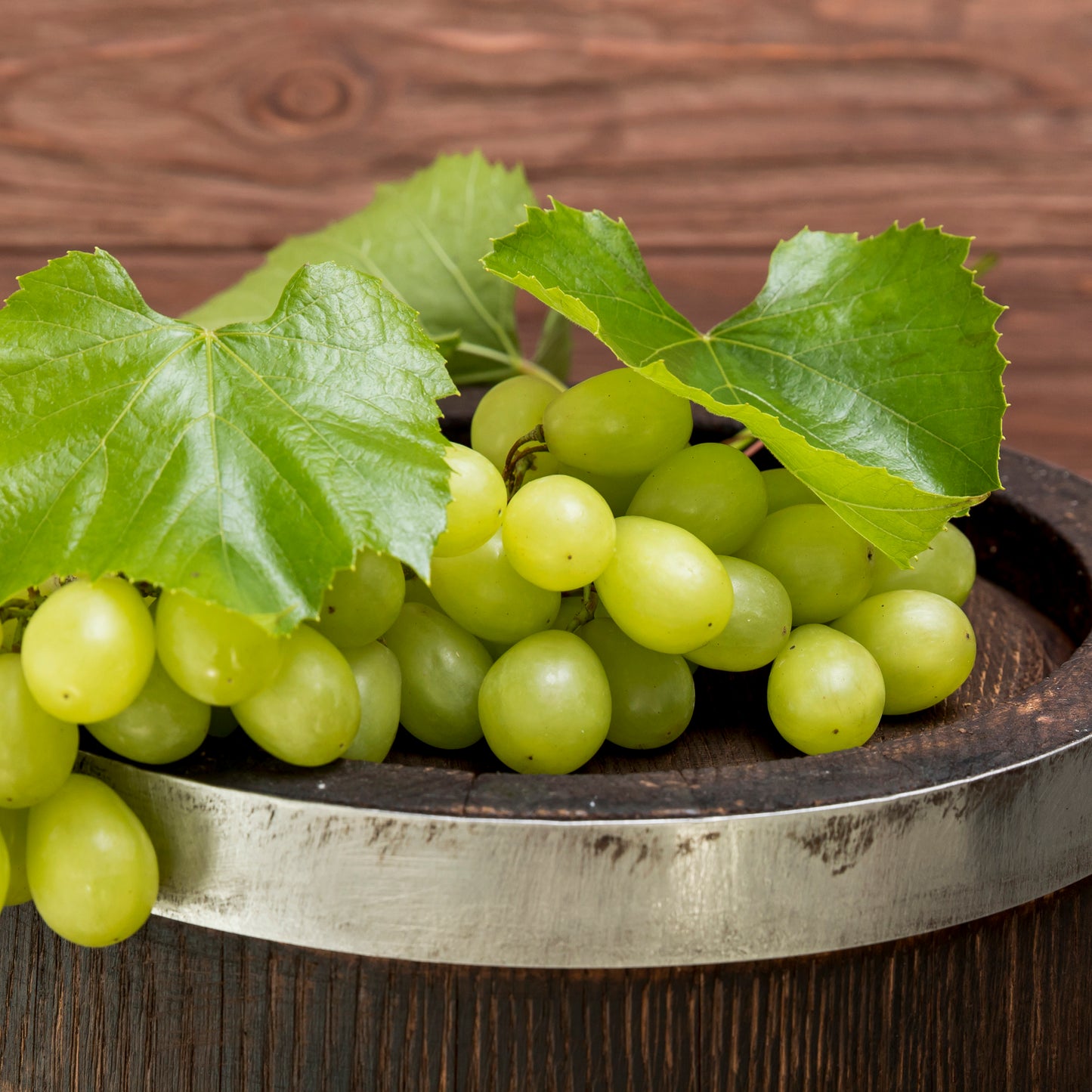 Grape White(Thompson Seedless)