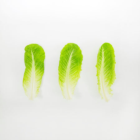Lettuce/Romaine (1 Kg Bunch)
