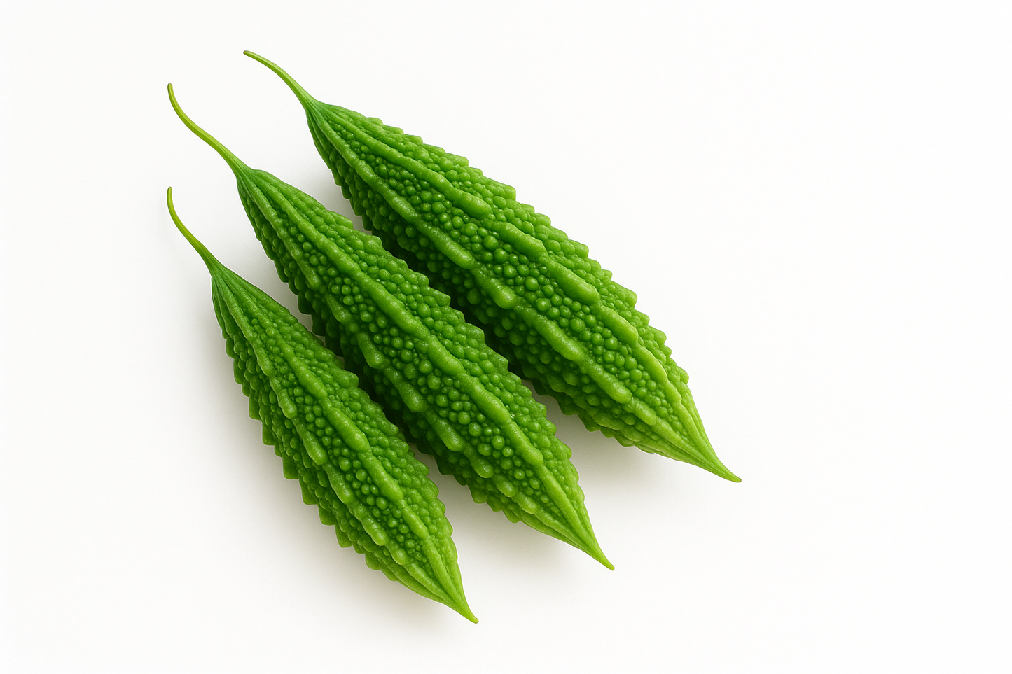 Bitter Gourd (Kerala)