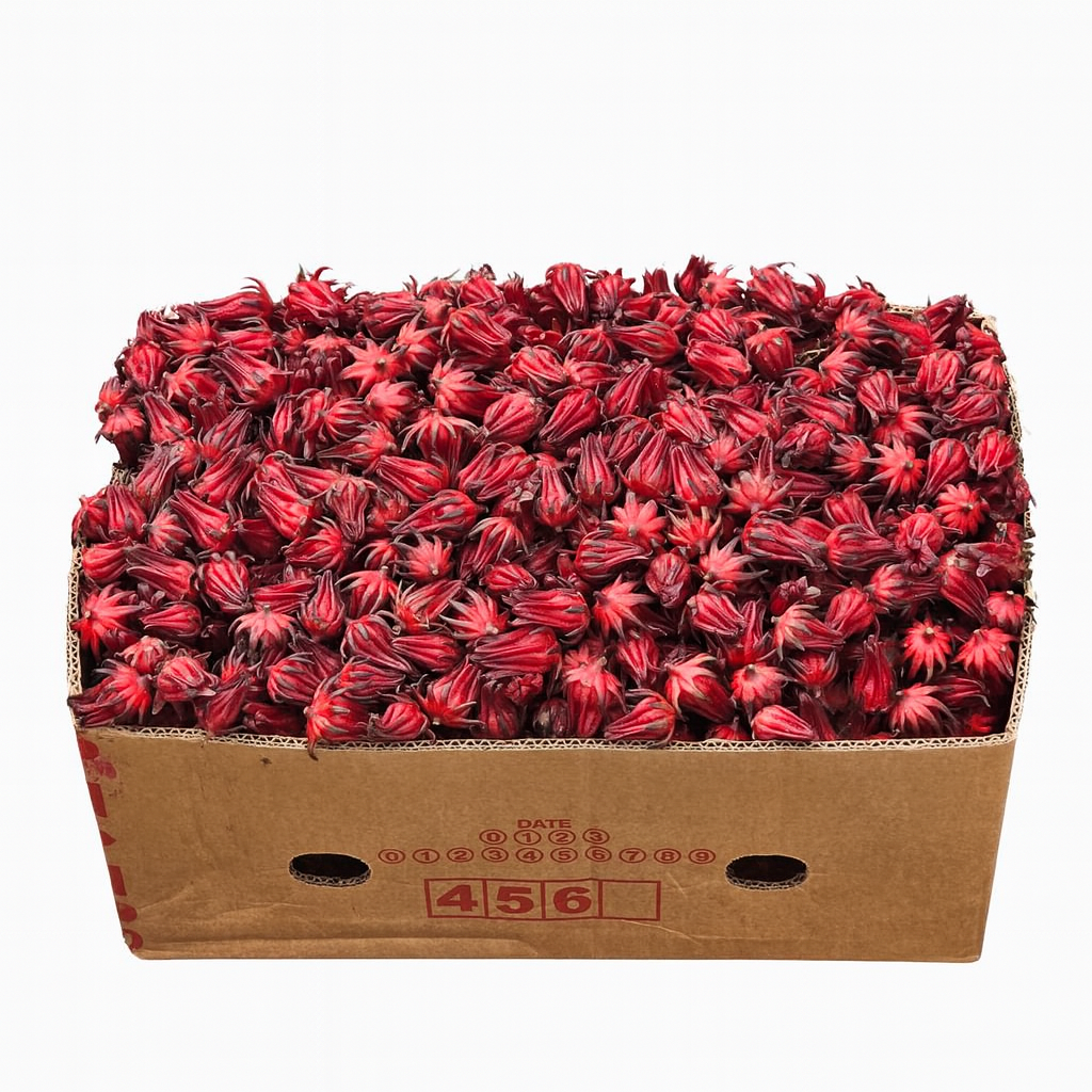 Roselle Flower/Hibiscus (Box)