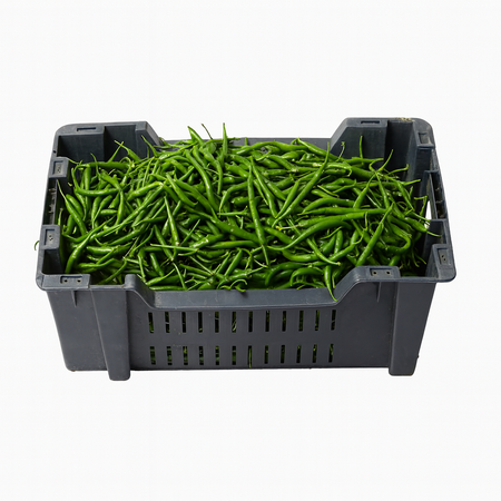 Green Chili-Indian (5Kg Box)
