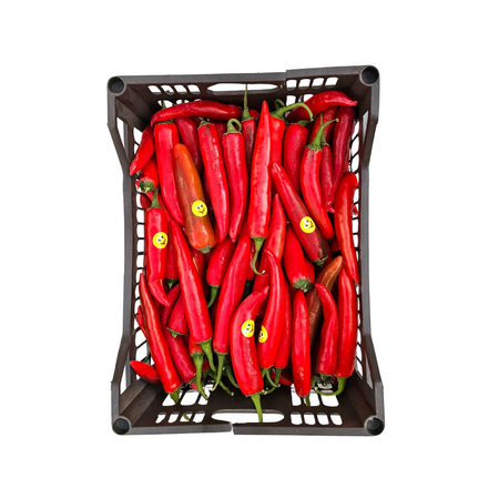 Red Chili-Egypt (4Kg Box)