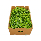 Chili Long Green ( 11Kg Box)