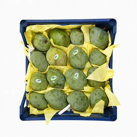 Mango Keitt Small (3.30Kg Box)