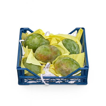 Mango Keitt Medium(3.30Kg Box)