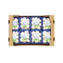 White Button Mushroom (8 Piece Box)
