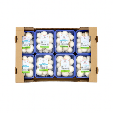 White Button Mushroom (8 Piece Box)