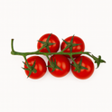 Tomato-On the Vine (Box)