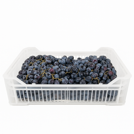 Grape Black Seedless