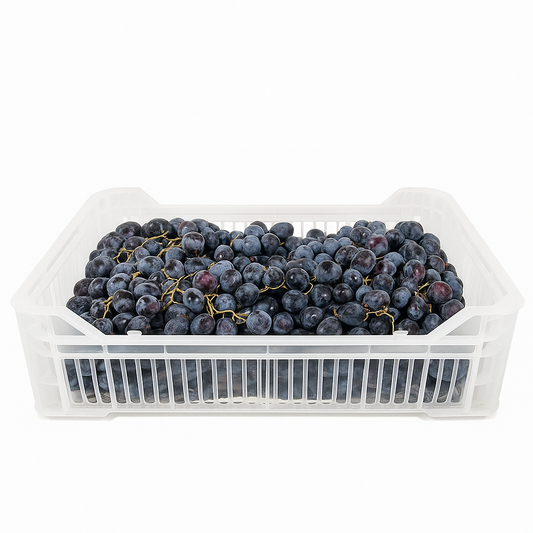 Grape Black Seedless