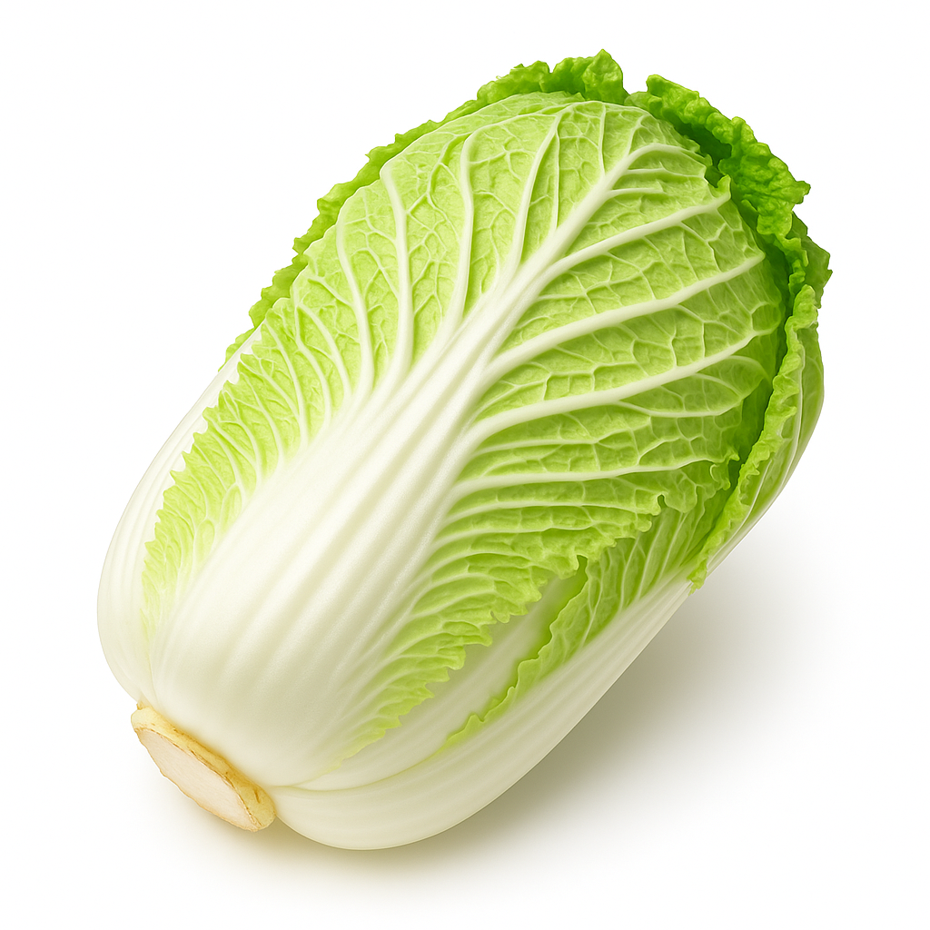 CHINESE CABBAGE