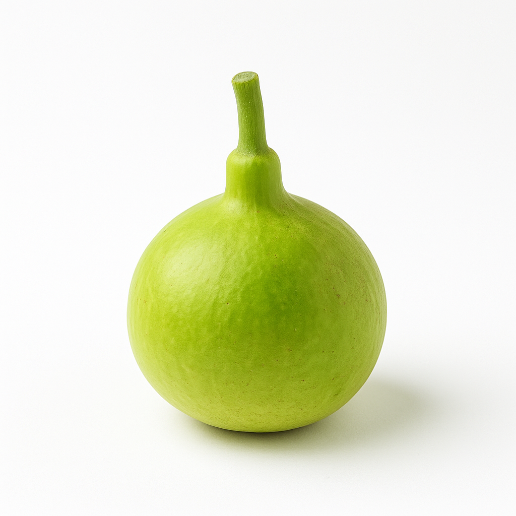 Bottle Gourd Round (Small)