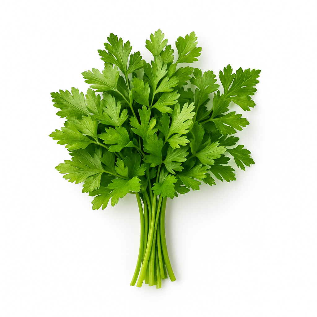 Parsley(Bagdunis)