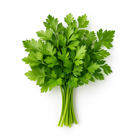 Parsley(Bagdunis)