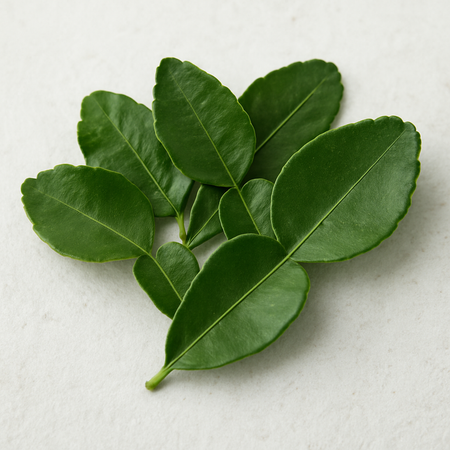 Lime Leaves