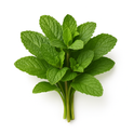 Habak Leaves(Arabic Basil)