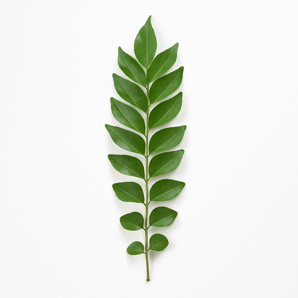 Curry Leaves