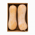 Pumpkin Long(Red)