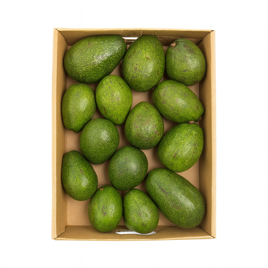 Avocado USA (Kenya) (3.5Kg Box)