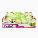 Lettuce-Iceberg (5Kg Box)